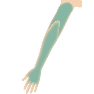 腕(手の甲まで)